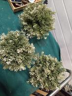 ikea kunstplanten fejka tijm 23 cm hoog, Ophalen of Verzenden, 'T Olde Gre-j, Info@toldegrej.nl, Endepoelstraat 20f Didam