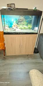 Aquarium juwel, Dieren en Toebehoren, Vissen | Aquaria en Toebehoren, Ophalen, Zo goed als nieuw, Leeg aquarium