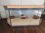 Hamsterkooi 100x 50x 50 terrarium met deksel, Dieren en Toebehoren, Zo goed als nieuw, 75 tot 110 cm, Ophalen, Minder dan 60 cm