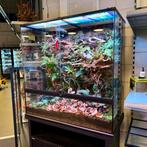 Terrarium: Verlichting, Verwarming, Voeding & Meer!, Ophalen, Nieuw, Terrarium of Paludarium