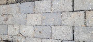 6.5 m2 tuintegels 21x13.5x6 cm  beschikbaar voor biedingen
