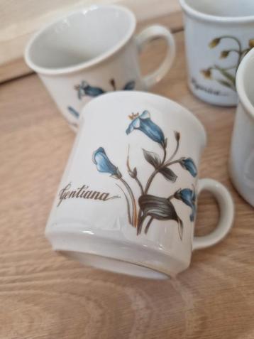 Vintage Mokken Set - Botanische Illustraties beschikbaar voor biedingen