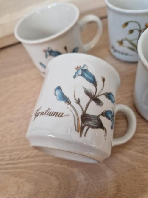 Vintage Mokken Set - Botanische Illustraties, Antiek en Kunst, Antiek | Servies los, Ophalen of Verzenden