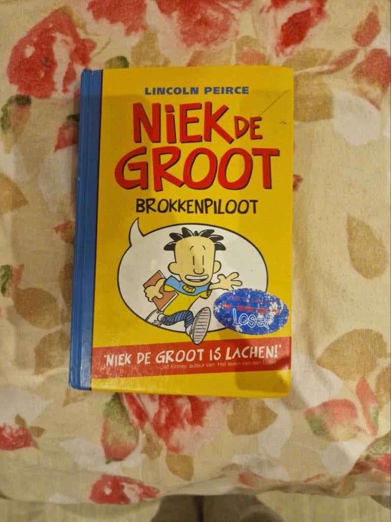Niek de Groot: Brokkenpiloot - Zo goed als nieuw!, Ophalen of Verzenden, Zo goed als nieuw, Lincoln Peirce, Fictie algemeen