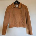 Rino & Pelle bikerjasje maat 40, Kleding | Dames, Maat 38/40 (M), Bruin, Ophalen of Verzenden, Zo goed als nieuw