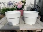 Potten wit 2 stuks Gratis, Rond, Tuin, Zo goed als nieuw, Minder dan 40 cm