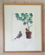Grafiek - Hommage aan Matisse 2008 - Leo Boudewijns, Antiek en Kunst, Kunst | Litho's en Zeefdrukken, Ophalen of Verzenden
