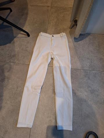 Wedstrijd rijbroek fouganza beschikbaar voor biedingen