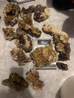 Indische levendsteen 10kg+/-, Ophalen of Verzenden