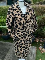 Nieuwe Teddy Winterjassen - 4 Kleuren!, Ophalen of Verzenden, Nieuw, Maat 38/40 (M), Zwart