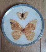 Lichtbruine Geprepareerde Vlinder met Klein Vlindertje –, Ophalen of Verzenden