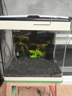 Aquarium 30 liters panoramic Superfish met toebehoren, Ophalen, Zo goed als nieuw