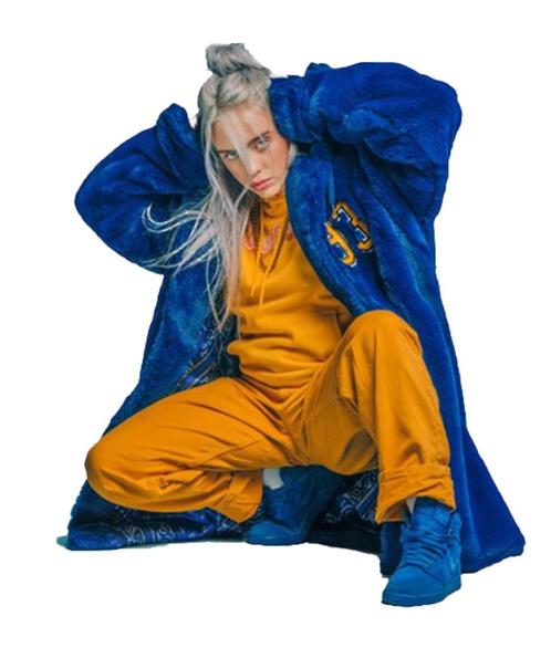 Gezocht: 2 tickets Billie Eilish Ziggo Dome. ( zitplaatsen), Tickets en Kaartjes, Concerten | Pop, Twee personen, Mei