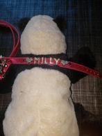 Halsband met looplijntje voor klein hondje, Ophalen of Verzenden, Nieuw