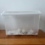 Plastic vissenbak, Dieren en Toebehoren, Vissen | Aquaria en Toebehoren, Ophalen of Verzenden, Gebruikt, Overige typen