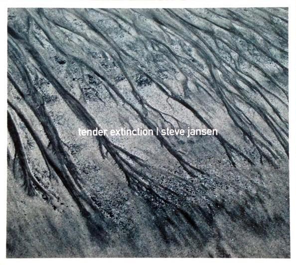 Steve Jansen ‎- Tender Extinction - CD - Digipak, Cd's en Dvd's, Cd's | Rock, Zo goed als nieuw, Poprock, Ophalen
