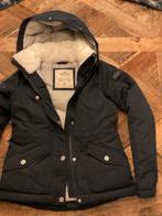 Hip HOLLISTER winterjack XS meisjes, Dames, Dressuur, Ophalen of Verzenden, Zo goed als nieuw