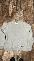 Dsquaered2, Kleding | Heren, Truien en Vesten, Ophalen of Verzenden, Zo goed als nieuw, Maat 56/58 (XL), Grijs