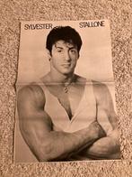 Poster A3 formaat SYLVESTER STALLONE, Ophalen of Verzenden
