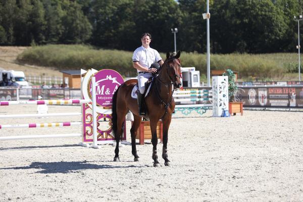 Dutch VIP Horses zoekt enthousiaste stalhulp/groom!, Diensten en Vakmensen, Dieren | Paarden | Verzorging, Oppas en Les, Gedragstraining