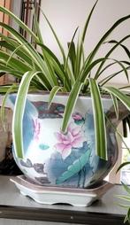 Zeshoekige grote Chinese bloempot plantenpot met schotel, Tuin en Terras, Bloempotten, Rond, Zo goed als nieuw, Aardewerk, Ophalen