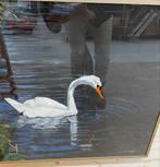 Zwaan Schilderij - Ingelijst gesigneerd, Antiek en Kunst, Ophalen of Verzenden