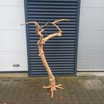 Mooie Javaboom - Decoratie, Ophalen, Zo goed als nieuw