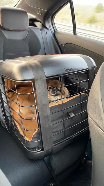 4pets Caree+Isofix veiligste hondenbench voor Autostoel beschikbaar voor biedingen
