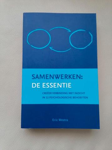 Eric Westra - Samenwerken: de essentie