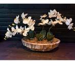 Eric Kuster Schelpen Vaas met Orchideeën, Ophalen of Verzenden, Zo goed als nieuw, Binnen