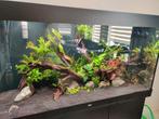 Aquarium Juwel Rio 350, eheim, spectrum 1200 en multilux., Dieren en Toebehoren, Vissen | Aquaria en Toebehoren, Ophalen, Zo goed als nieuw