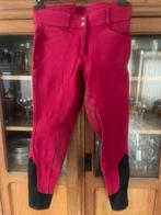 Rode rijbroek full grip maat 38, Dieren en Toebehoren, Paardrijkleding, Gebruikt, Dressuur, Dames, Onderkleding