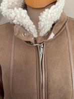 Teddy winterjas mt L., Kleding | Dames, Ophalen of Verzenden, Zo goed als nieuw, Maat 38/40 (M)