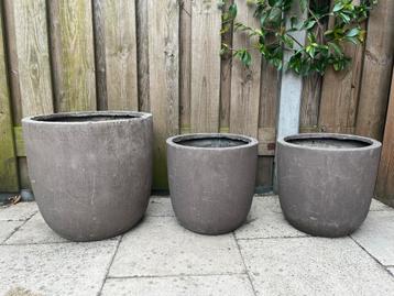 3 bloempotten beschikbaar voor biedingen