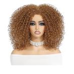 Afro pruik met kleine spiraalkrullen schouderlang, Sieraden, Tassen en Uiterlijk, Uiterlijk | Haarverzorging, Verzenden, Nieuw