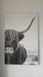 Schotse hooglander poster op een houtenframe, Ophalen, Zo goed als nieuw, Foto of Poster, 75 cm of meer
