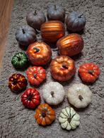 Leuke set van Kunst Pompoentjes, Ophalen of Verzenden, Nieuw