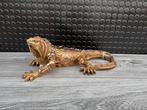 steampunk leguaan 13hoog 38lang 22diep/Nieuw!, Ophalen of Verzenden, Nieuw