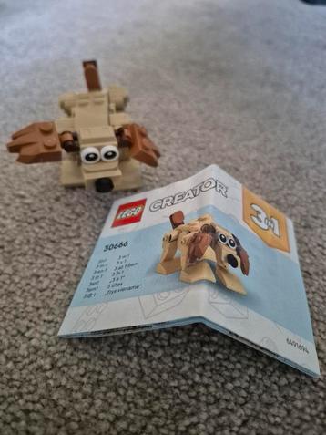Lego 3-in-1 hond 30666 beschikbaar voor biedingen