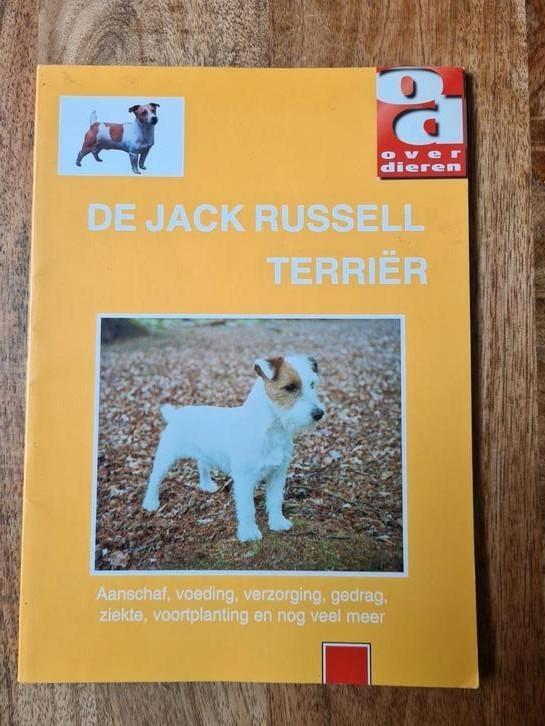 De Jack Russell terrier, Boeken, Dieren en Huisdieren, Zo goed als nieuw, Honden, Ophalen of Verzenden