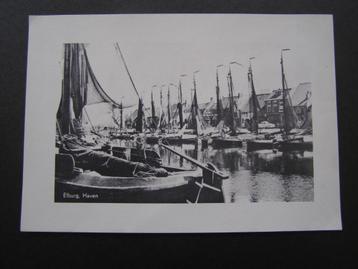 Foto: Haven Elburg (Gelderland) met vissersvloot