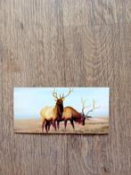 Dubbele kaart - herten, Ophalen, 1980 tot heden, Ongelopen, Overige soorten