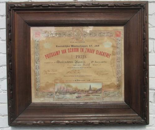 antiek prijskamp diploma slagerij wedstrijd schoon vee kalf, Antiek en Kunst, Curiosa en Brocante, Ophalen