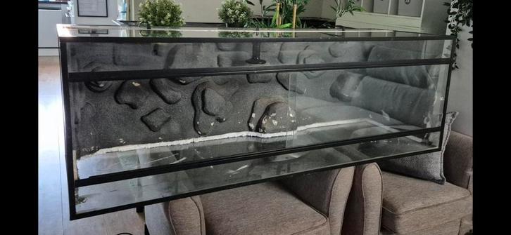 Mooi terrarium 150-50-50 / gave 3d achterwand/ 3 spots!!!, Dieren en Toebehoren, Reptielen en Amfibieën | Toebehoren, Ophalen of Verzenden