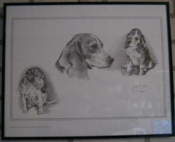 kunstwerk van Joel Kirk, portret van beagle, hond, zwart-wit beschikbaar voor biedingen