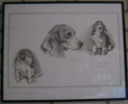 kunstwerk van Joel Kirk, portret van beagle, hond, zwart-wit, Antiek en Kunst, Kunst | Schilderijen | Klassiek, Ophalen