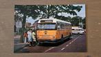 Foto BUS ZO ZuidOoster 4464, Verzamelen, Spoorwegen en Tramwegen, Verzenden, Gebruikt, Bus of Metro, Overige typen