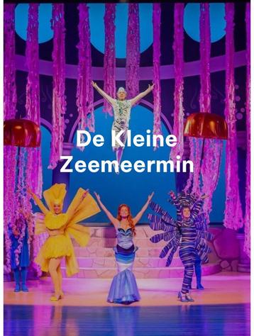 Denbosch 2x de kleine zeemeermin beschikbaar voor biedingen