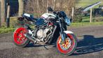 Uitlaat MV Agusta brutale, Ophalen of Verzenden