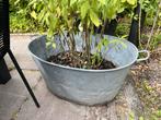 Grote zinken  teil voor planten, Gebruikt, Balkon, Ophalen of Verzenden, Metaal